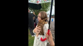 Rescued tiger becomes proud mum as zoo welcomes newborn cubs in viral TikTok