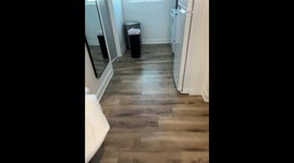 Bathroom shower door explodes, leaves mess in Florida, USA