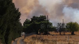 Firefighting efforts continue as blaze hits olive groves in Lesbos, Greece