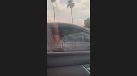 Man Snuggles Pet Squirrel at Stoplight