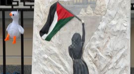 Russia: Protest held in Moscow in support of Palestinian people