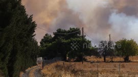 Greece: Firefighting efforts continue as blaze hits olive groves in Lesbos, Greece