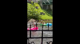 Two Pups Float Down the Chattahoochee