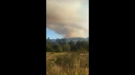 US: Root Fire Forces Evacuations in Shasta County, California 2