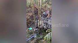 Bodies of helicopter crash victims removed from Indonesian jungle