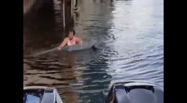 Staged Showdown: The Secrets Behind Our Movie Alligator Fight