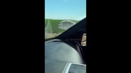 Dog Dangerously Hangs Out Car Window