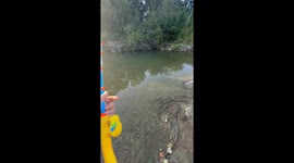 Toy Rod Quickly Catches Fish