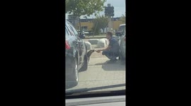 Man and dog share ice cream in Terneuzen, Netherlands
