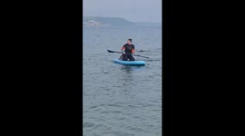 Seal Flops Aboard Passing Paddleboard