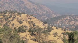 US: Garnet Fire Continues To Rage As Crews Work To Protect Giant Sequoias