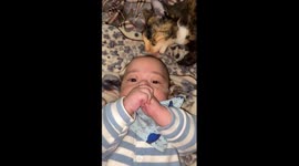 Cat Gives Baby's Head a Bath