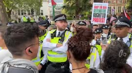 London police arrest some demonstrators at Palestine Action ban protest (2)