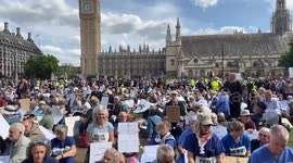 London police arrest some demonstrators at Palestine Action ban protest (3)