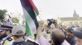 Arrest at Palestine Action demonstration.