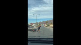 Man Pulls Parade of Cargo