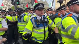 UK: London police arrest some demonstrators at Palestine Action ban protest (4)