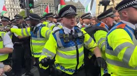 London police arrest some demonstrators at Palestine Action ban protest (4)