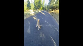 Kid Came Up to Me on My Walk