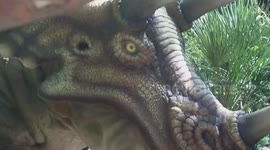 Real Dinosaurs Spotted? Exploring the Truth Behind Roaming Raptors