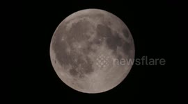 Spectacular full Corn Moon seen rising in Kent, UK