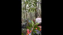 Helicopter crash in Indonesian jungle leaves eight dead