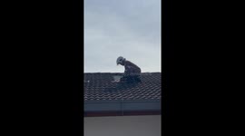 Firemen rescue frightened kittens stranded on roof