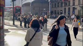 Huge queues for buses outside Victoria station as tube strikes hit commuters