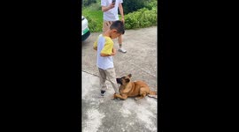 Dog refuses to let go of boy’s leg in Hunan, China