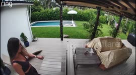 What exactly is happening in the video? A woman rushes to grab her friend’s puppy away from what appears to be an alligator head floating in a backyard pool. She panics and screams while her husband yells that the “alligator” is fake. Moments later, it’s