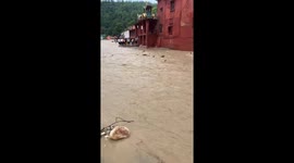 Monkey swept away in floods in Saharanpur, India