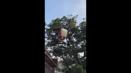 Chinese lantern launch fails when it hits tree and bursts into flames