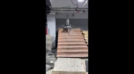 Robot dog tests carryings 250kg of dumbbell plates
