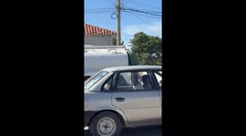 Man Pushes Small Puppy In Wheelchair