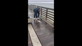 Man rescues hammerhead shark by returning it to the sea in Jacksonville, Florida