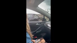 Mischievous nilgai snatches food from girl’s lap at safari drive-thru