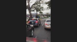 Spider Man Seen Swinging From a Tree in Panama