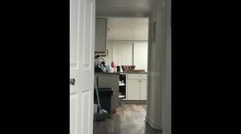Family playtime takes unexpected turn in Columbus, Ohio, USA