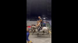 Tacit Understanding Between Human and Horse R1