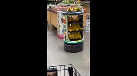 Robot Named Pineapple Selling Bananas
