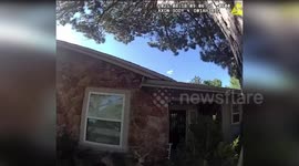 US: Deer Rescued By Deputies After Getting Tomato Cage Stuck On Head