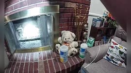 US: Raccoon Rescued After Tumultuous Fall Down Centennial Chimney