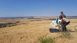 Spain: Endangered Spanish Imperial Eagles Take Flight In Valladolid