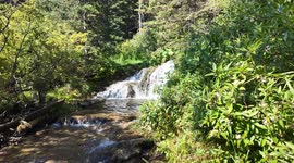Small water fall with very clean water and relaxing environment at Big Hill Springs Provincial Park