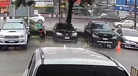Storm topples tree onto parked car