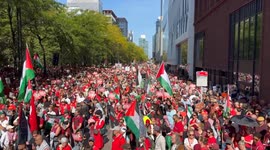 Belgium: Pro-Palestinian Protest in Brussels