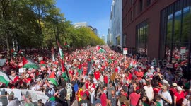Belgium: Pro-Palestinian Protest in Brussels