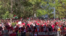 Belgium: Pro-Palestinian Protest in Brussels