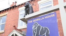 Fuming homeowner told to remove 4ft gorilla statue attached to house by council