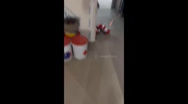 Boss gets startled as cracker explodes loudly during site inspection